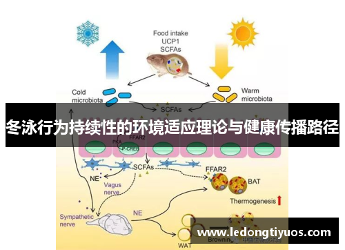 冬泳行为持续性的环境适应理论与健康传播路径