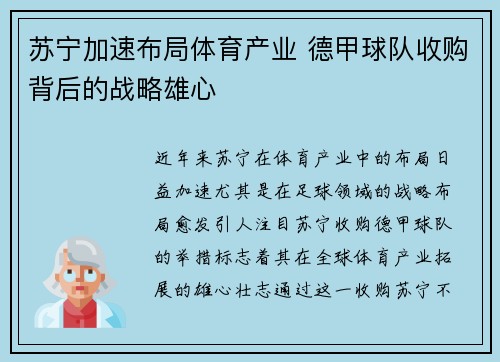苏宁加速布局体育产业 德甲球队收购背后的战略雄心