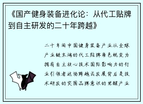 《国产健身装备进化论：从代工贴牌到自主研发的二十年跨越》